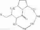 Fig. 32 - Peptidomimetic Compounds and Preparation of Biologically Active Derivatives