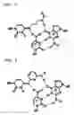 Fig. 02 - Method For Investigating Cytosine Methylation in Dna Sequences By Means of Triplex-Forming Oligomers