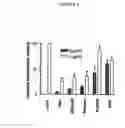 Fig. 06 - Derivatives of partially desulphated glycosaminoglycans as heparanase inhibitors, endowed with antiangiogenic activity and devoid of anticoagulating effect