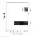 Fig. 06 - Method for controlling angiogenesis in animals