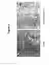 Fig. 07 - Method for controlling angiogenesis in animals