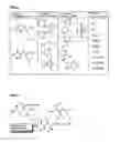 Fig. 02 - Drug delivery system