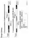 Fig. 03 - POTENTIATION OF ANTIFUNGAL COMPOUNDS