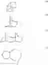 Fig. 09 - Hyperbranched Polymer and Production Method Thereof
