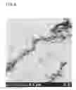 Fig. 07 - Carbon-based material and method of producing the same, and composite material and method of producing the same