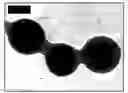 Fig. 01 - Processing Aid For Pvc and Method For Manufacturing the Same