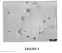 Fig. 02 - Nanocomposites and Process for their Production