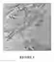 Fig. 04 - Nanocomposites and Process for their Production