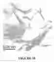 Fig. 19 - Nanocomposites and Process for their Production