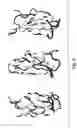 Fig. 06 - Pharmaceutically acceptable Fn3 Polypeptides for human treatments
