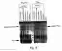 Fig. 09 - Pharmaceutically acceptable Fn3 Polypeptides for human treatments