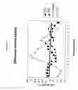 Fig. 14 - siRNA targeting synuclein, alpha (SNCA-1)