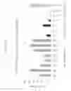 Fig. 20 - siRNA targeting synuclein, alpha (SNCA-1)
