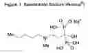 Fig. 02 - Ibandronate sodium propylene glycol solvate and processes for the preparation thereof