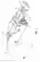 Fig. 02 - Stun gun dart active retrieval system