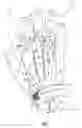 Fig. 02 - Utility hand-piece with integrated fluid channel