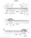 Fig. 02 - Microneedle Device for Transdermal Transport of Fluid