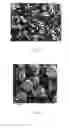 Fig. 07 - Article to be inserted in a body cavity having biologically inhibiting surfaces and use and preparation of the article