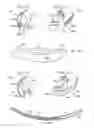 Fig. 16 - System and method for determining a position for a scleral pocket for a scleral prosthesis