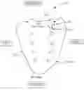 Fig. 01 - KIT AND METHODS FOR MEDICAL PROCEDURES WITHIN A SACRUM