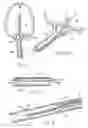 Fig. 04 - Systems and methods treating a vertebral body