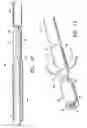 Fig. 04 - HIGHLY TRACKABLE BALLOON CATHETER SYSTEM AND METHOD FOR COLLAPSING AN EXPANDED MEDICAL DEVICE