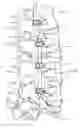 Fig. 01 - Methods and devices for treating a multi-level spinal deformity