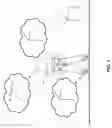 Fig. 02 - Control and integration of sensory data