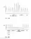Fig. 06 - Electrical muscle controller and pacing with hemodynamic enhancement