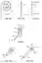 Fig. 09 - ELECTRODE APPARATUS HAVING DEFORMABLE DISTAL HOUSING