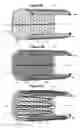 Fig. 08 - Multi-Wall Expandable Device Capable Of Drug Delivery Related Applications