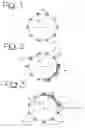 Fig. 02 - Process for producing stents and corresponding stents