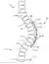 Fig. 01 - Energy-Storing Spinal Implants and Methods of Use