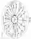 Fig. 76 - DECISION OBJECT FOR ASSOCIATING A PLURALITY OF BUSINESS PLANS