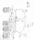 Fig. 06 - Multiple communication networks for multiple computers