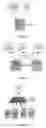 Fig. 06 - Memory arrangement for multi-processor systems including a memory queue