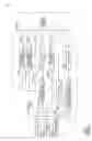 Fig. 04 - Limited Blind Signature System