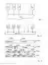 Fig. 02 - Network protocol for network communications