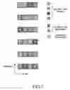 Fig. 08 - Apparatus and method for transmitting forward/reverse ACK/NACK in mobile communication system