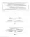 Fig. 02 - Environment-independent software