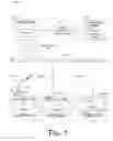 Fig. 02 - Systems and methods for dynamic conversion of web content to an interactive walled garden program