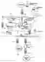 Fig. 01 - Wireless Linked Computer Communications