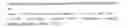 Fig. 07 - Chromosomal loci for the stringent control of gene activities via transcription activation systems