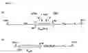 Fig. 09 - Chromosomal loci for the stringent control of gene activities via transcription activation systems