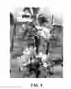 Fig. 09 - Apple Tree named 'GALAVAL'