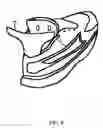 Fig. 06 - APPAREL HAVING VARIABLE COLOR LOGO AND TRIMMINGS
