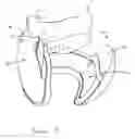 Fig. 09 - Ear Warmer Having A Membrane Forming A Receptacle