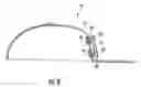 Fig. 09 - HEADGEAR WITH A PROJECTED DESIGN ELEMENT