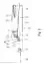 Fig. 07 - Secure fastener for belts