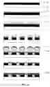 Fig. 07 - Planarization methods for patterned media disks